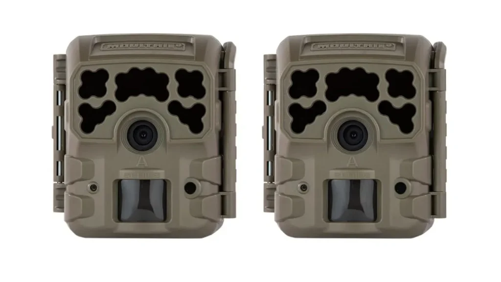 What Is a Trail Camera